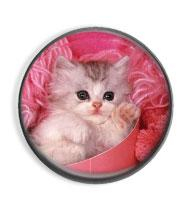 Kočička - button